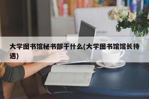 大学图书馆秘书部干什么(大学图书馆馆长待遇)