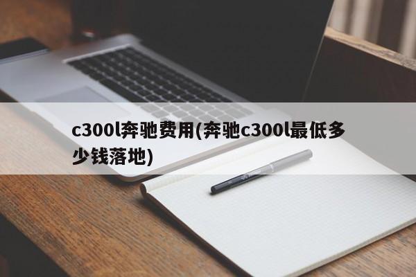 c300l奔驰费用(奔驰c300l最低多少钱落地)