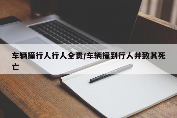 车辆撞行人行人全责/车辆撞到行人并致其死亡