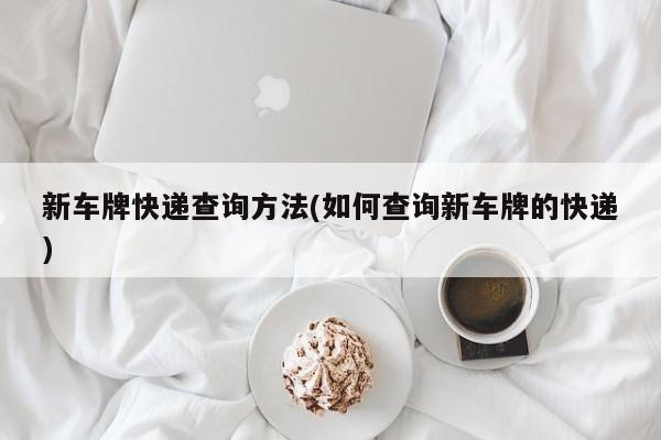新车牌快递查询方法(如何查询新车牌的快递)