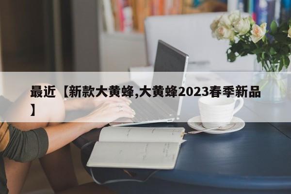 最近【新款大黄蜂,大黄蜂2023春季新品】