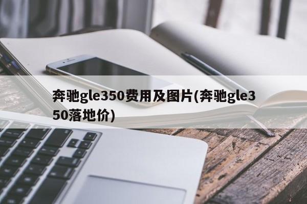 奔驰gle350费用及图片(奔驰gle350落地价)