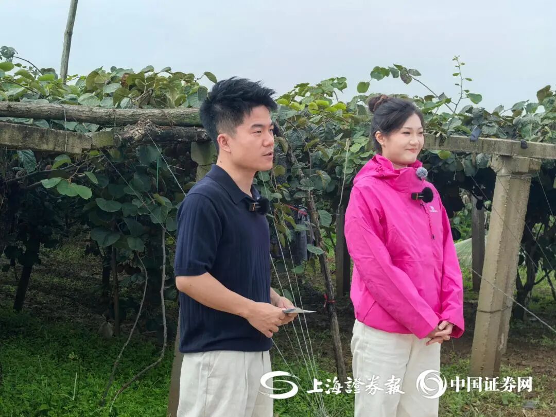 如何让果农赚到钱？董宇辉答上证报