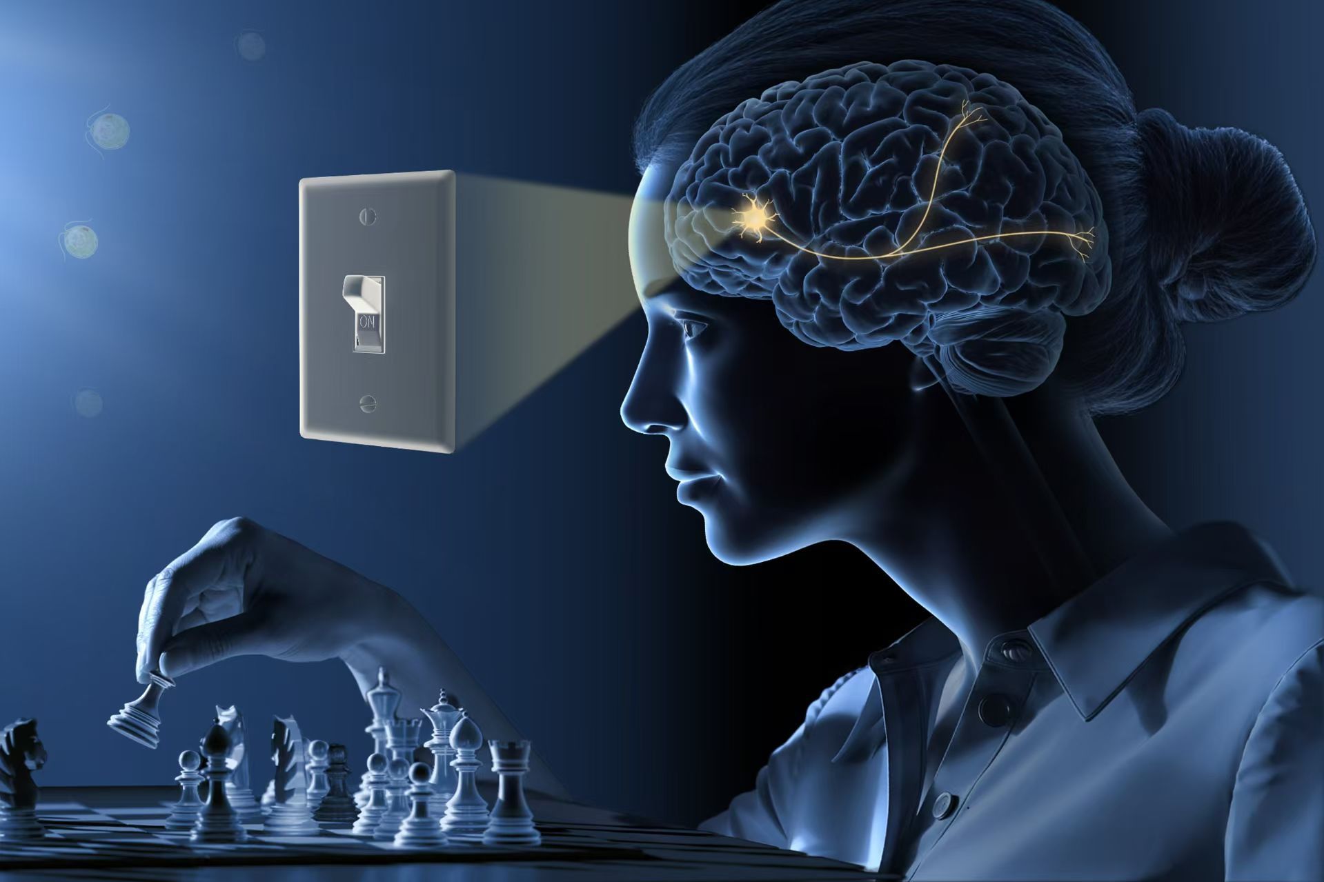 诺奖解读丨神经元有了“光控开关”？三位科学家因此获诺奖！